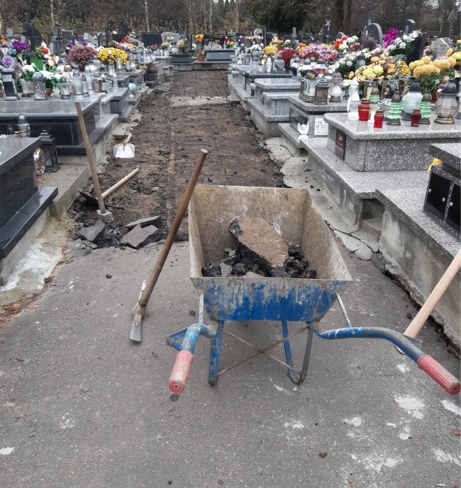 Alejka na cmentarzu