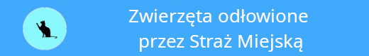 Zwierzęta odłowione przez Straż Miejską